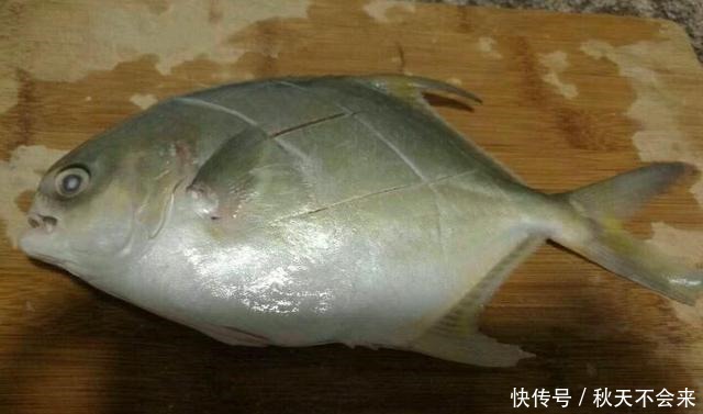  媳妇做清蒸鲳鱼，不放食盐和料酒，原汁原味，鱼肉鲜嫩不腥也不柴