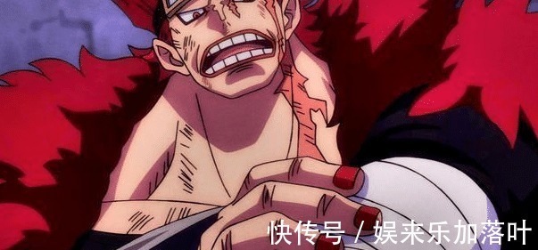 热血动漫|海贼王他们三人不怕残疾,四肢毁掉了还能继续造出来