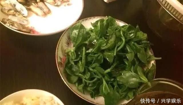 花长得挺好,家里没菜了,摘盘叶子炒着吃,薅秃了接着长