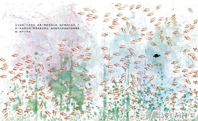 自然故事|七年陪读,我来说说:孩子什么年龄,该读什么书