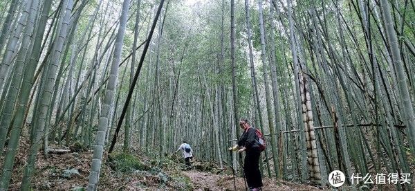 山阴道上行 如在画中游|旅行日志 篇一：绍兴 · 萧绍古道 | 中年