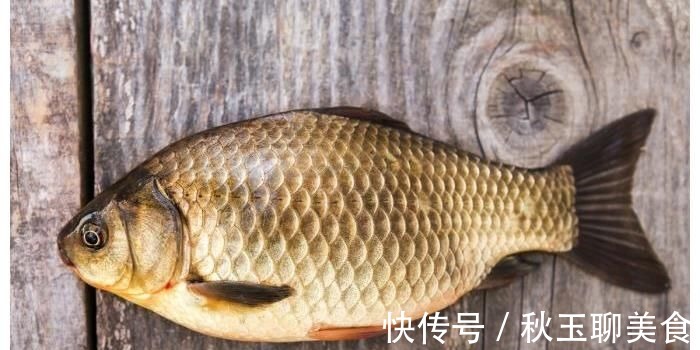 骨科医生|吃一口相当于7条鲫鱼,骨科医生:你若喜欢吃,骨头壮如牛