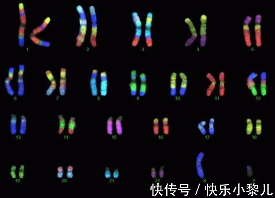 原生家庭|同母异父和同父异母,哪种关系血缘上更亲?遗传学的答案不一样