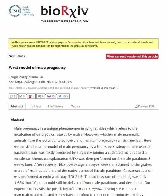 怀孕|公鼠成功怀孕生崽,男人生孩子还远吗?