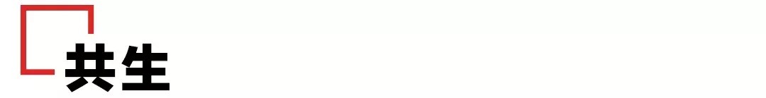 轮廓|如何用好创意图形彻底征服甲方