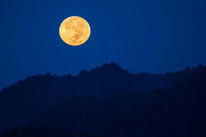 约定$我和秋天的约定