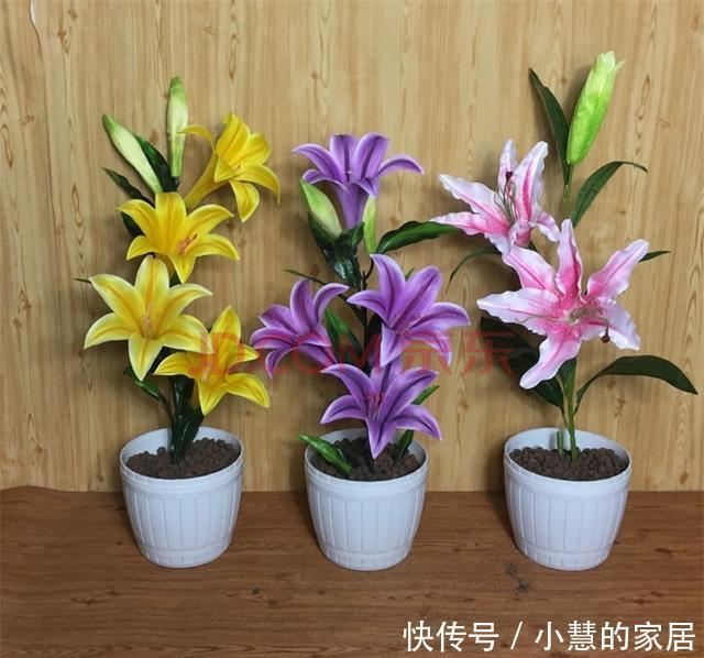 浇水|冬天养花养不活,可能就是浇死的