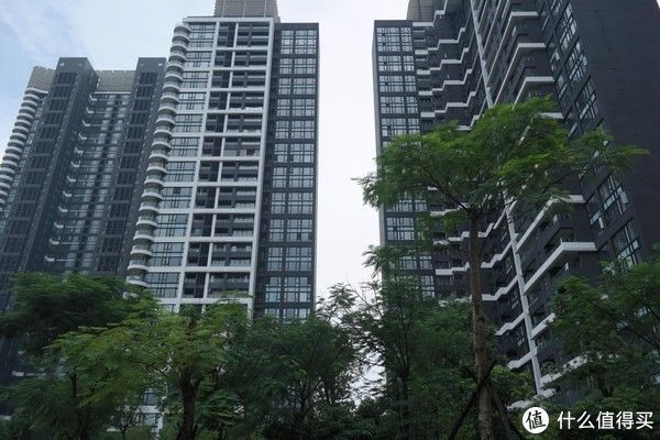 住宅|高层住宅不再吃香,低层更受欢迎?我换了三次房,说一说真实感受