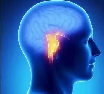 腹泻|男子腹痛腹泻，迅速休克病因未明，直至医生看到：患者胸口上红点