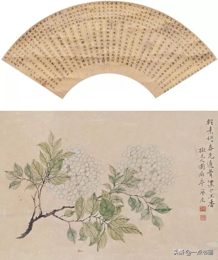 嘉树堂！清代海派 朱熊 花鸟作品欣赏