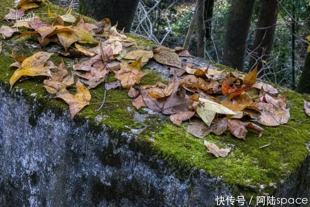 再次|再次邂逅独山古寨，却被它“门”前的风景惊艳到了