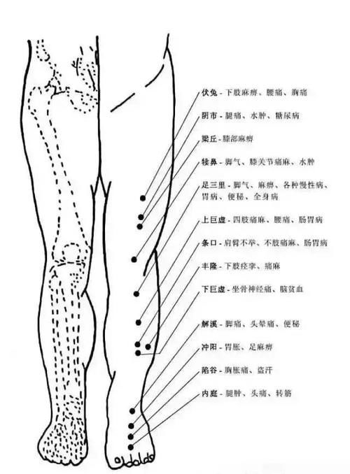 人体头部、面部、胸腹腰部、下肢、脚部常用穴位集锦大全，快收藏