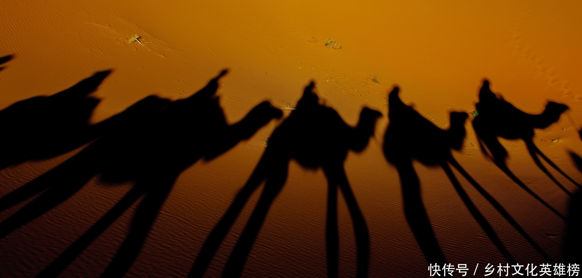  露出|毕飞宇：《小说课》｜小说微妙的细节，隐藏于露出水面的冰山之下