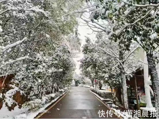 李蕾|组图｜雨花雪景还没赏够？看这里！惊艳nice“绝绝子”