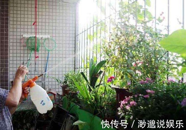 秋天|几个小动作秋天必做，养花也是要稍作调整！