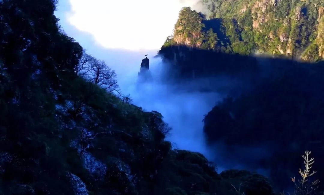 走过一山，就走过三季！这是梵净山的春天