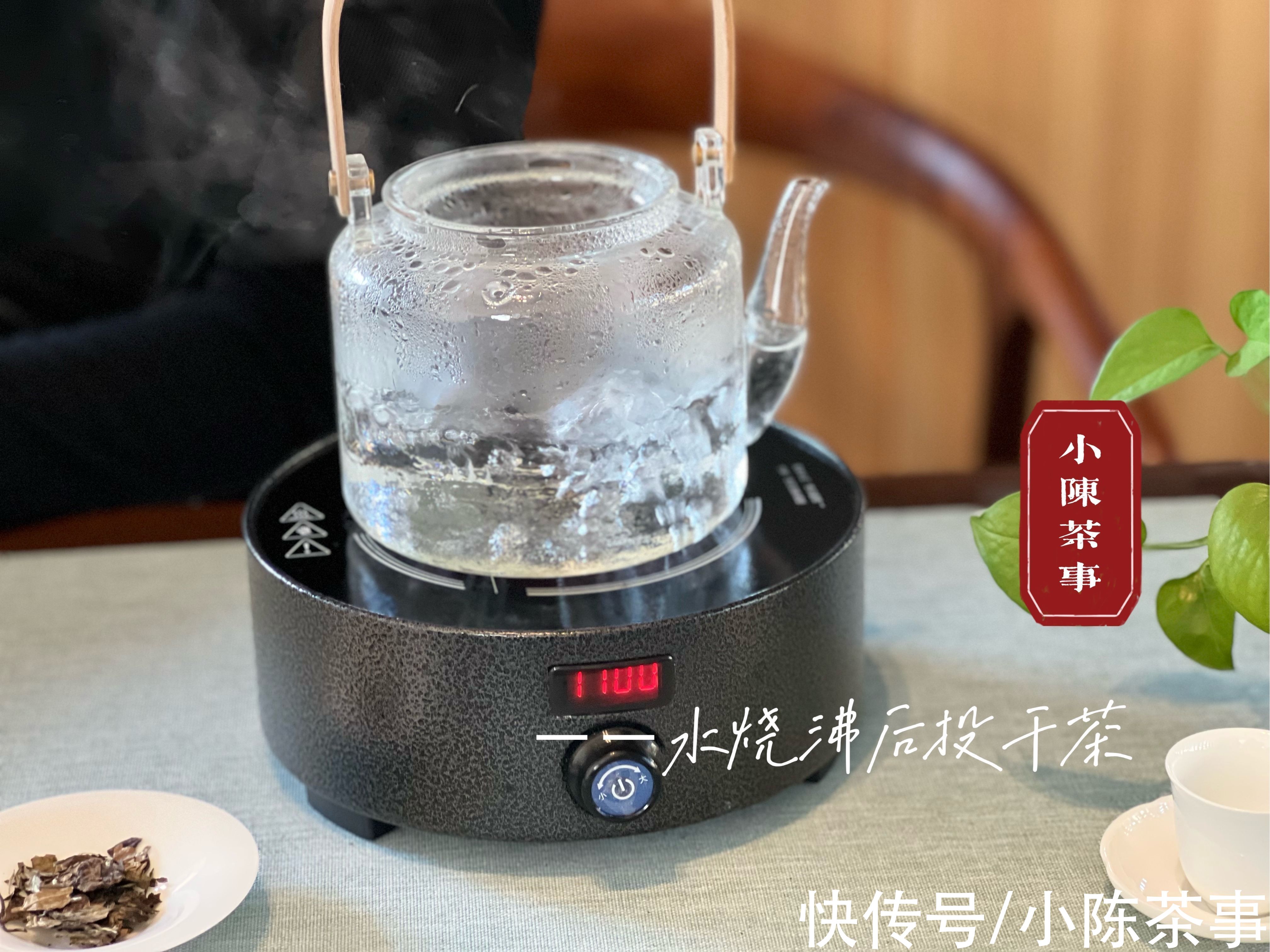 叶底#从茶器、茶叶到方法，完整的煮白茶指南教给你，真的很简单