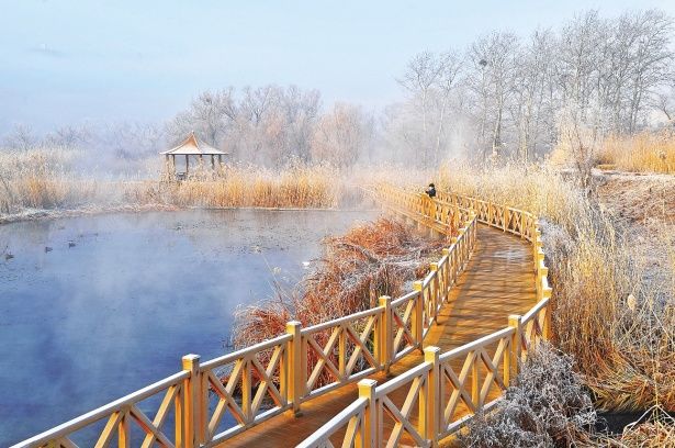 湿地冬韵
