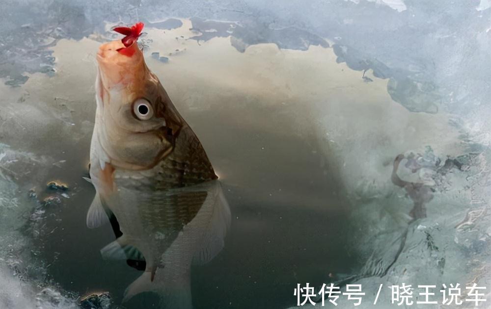 冬钓到底钓深还是钓浅,这几个必要条件,你得弄明白才行