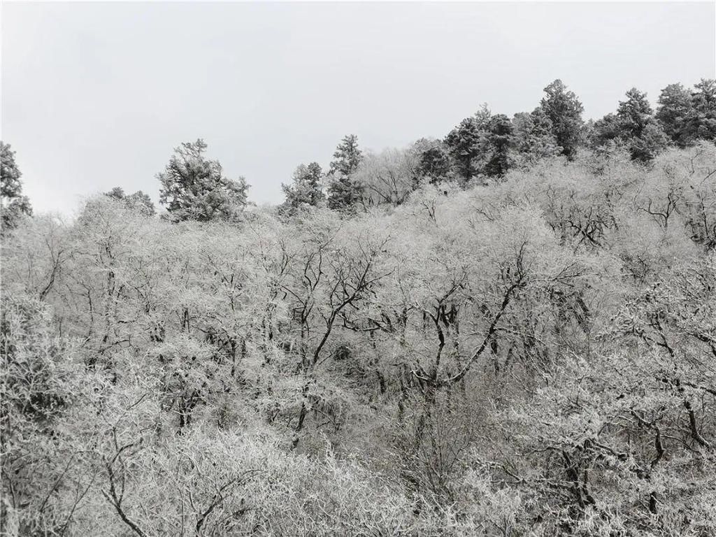 地方|汶川下雪了！这些地方，你最想去哪个？