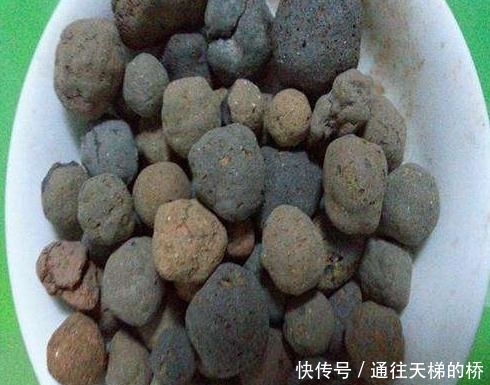 路边的3种“石头”,捡1点丢盆里,土壤变松软,养啥都“爆盆”!