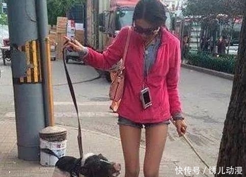 敢坐|妹的心真是大呀,摩托车的后备箱也敢坐,万一不牢靠掉下来就惨了