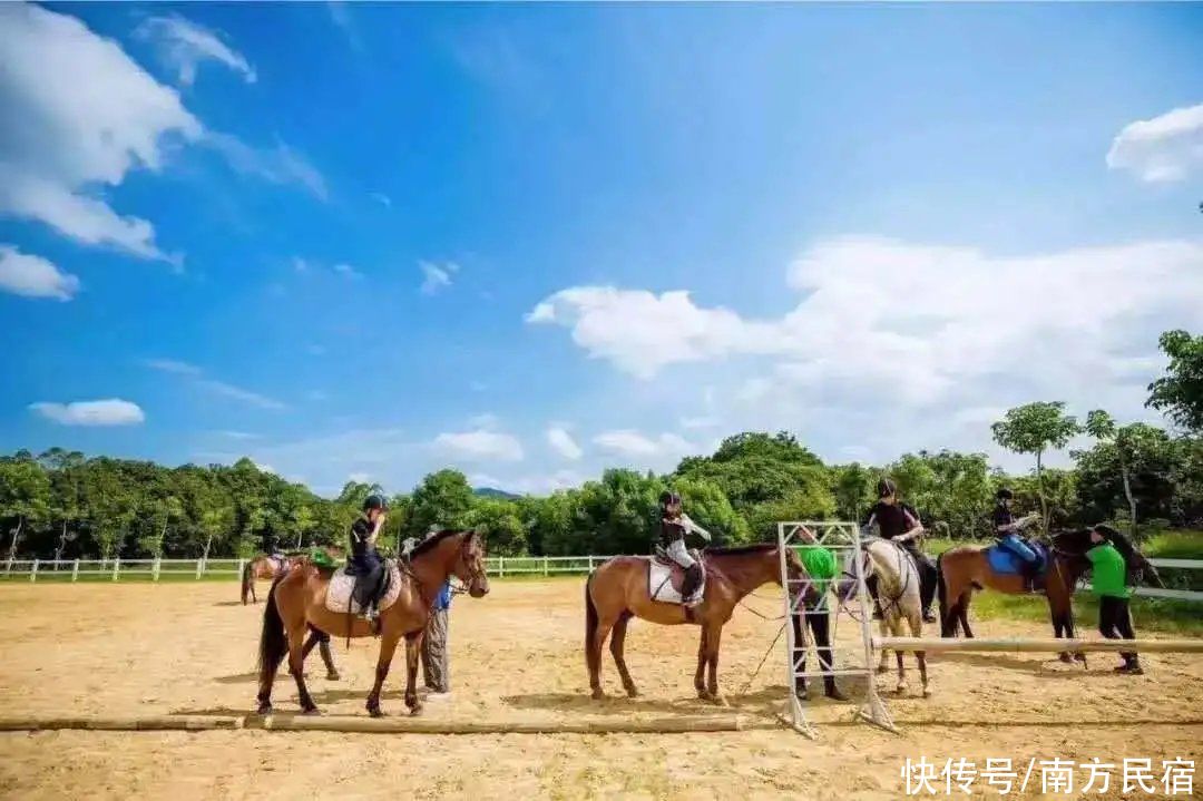 增城|广州自驾1h，藏在增城这座稻田里的花园网红民宿，带娃野餐丨柒舍