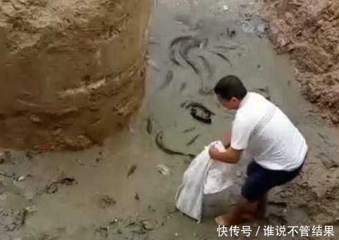 挖掘机施工挖塌一个洞，瞬间涌出黑乎乎一片