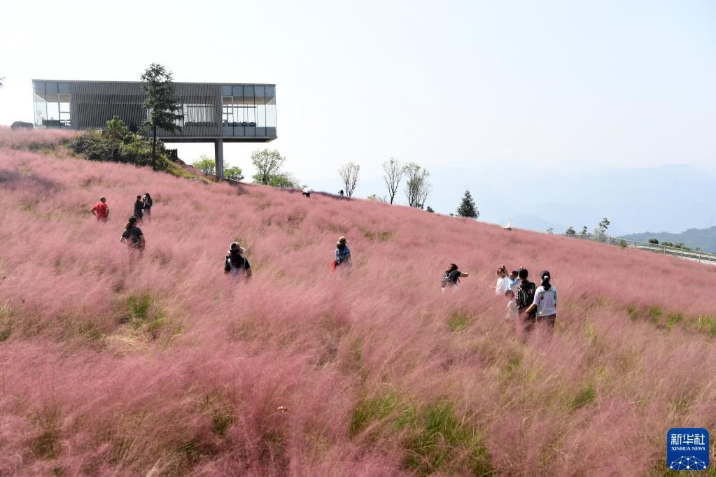 武隆|重庆：高山旅游助力乡村振兴