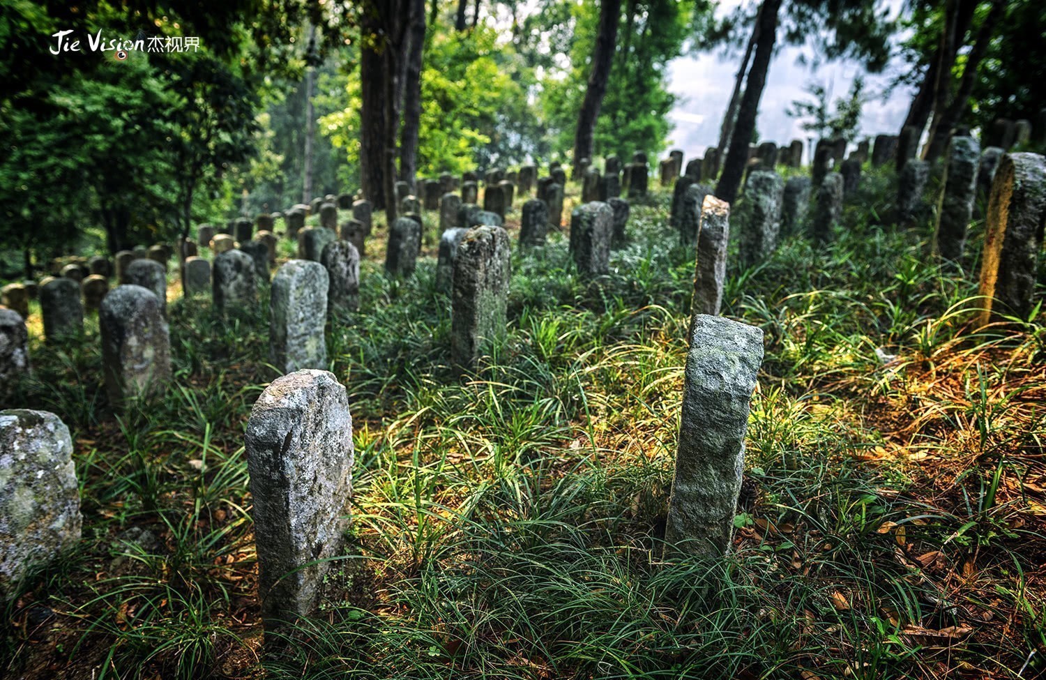 往事|拜谒“国殇墓园”使人泪目的往事 尘封60多年 你们我们不曾忘记!