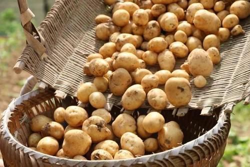 血糖|糖尿病患者:少碰5菜,多喝2水,做好1事,血糖或许能慢慢稳定