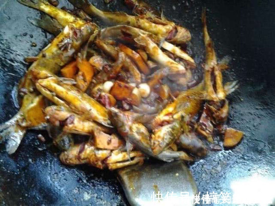 钓鱼|洪水过后去钓鱼，这么大的黄颡鱼，还是头一次钓获