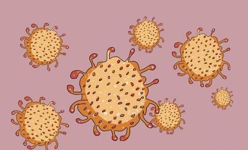 衣物|为啥日本女人,很少会得妇科疾病?她们的生活方式,值得我们学习