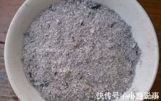 盆栽植物的最佳肥料,花盆里撒点它,植物根粗叶绿还不生病!