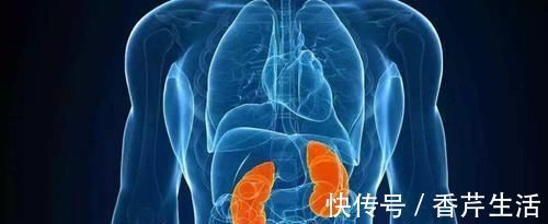 抑菌|5物是前列腺的“守护神”，男人常吃，消炎抑菌，或远离前列腺炎