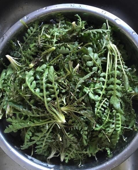 春天了，5样“野菜”别错过，包成饺子，鲜嫩美味，很好吃