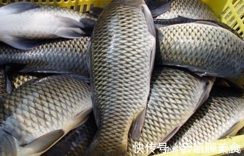 垂钓|秋末冬季，为什么钓不到鲫鱼鲤鱼呢？这款饵料就可以改变你的鱼获