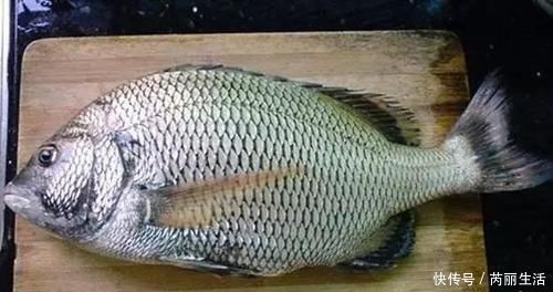 食物|女人在“大姨妈”期,这5种食物放开吃,或能排出污血,缓解痛经