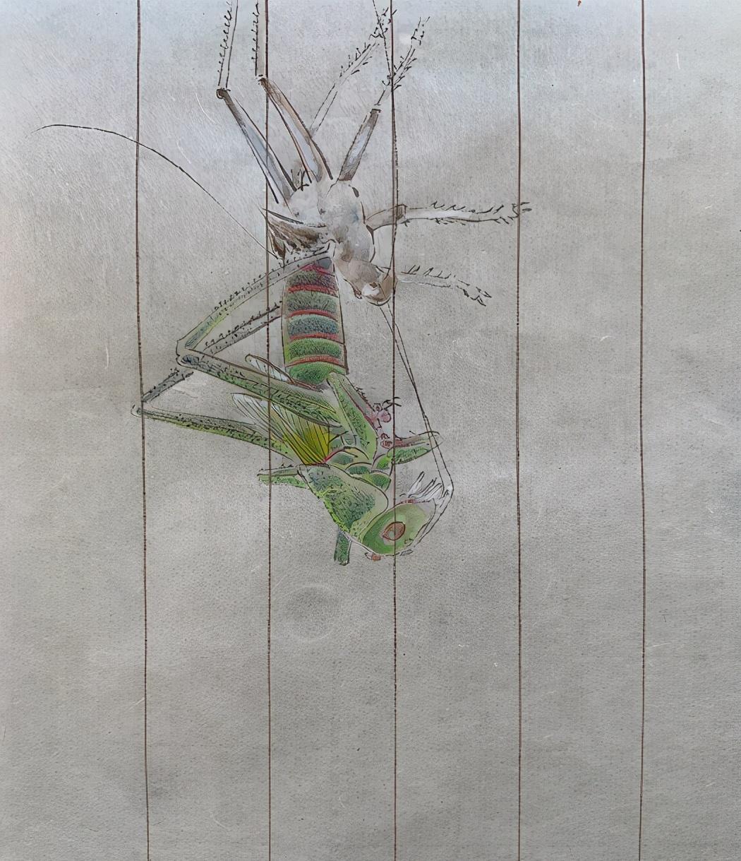 夏哈哈|夏雨:和女儿在家PK画蚂蚱,爷俩画工了得袁泉自动退出只好当裁判