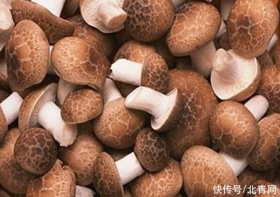 胆固醇|经常吃3种食物可以帮助血管畅通