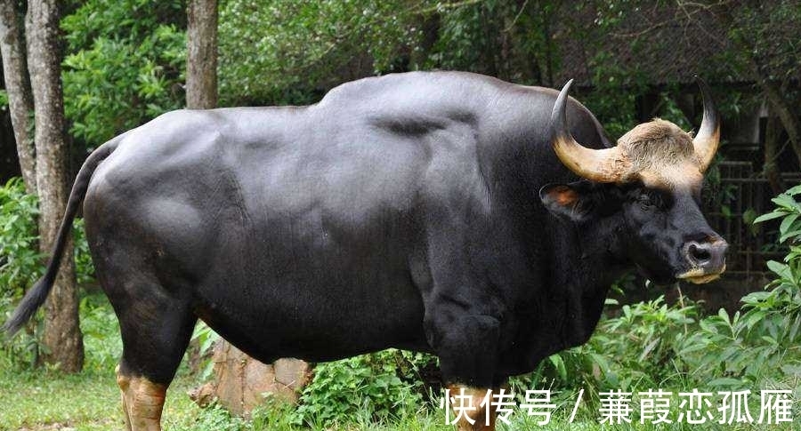 趣味冷知识分享，快来一起看看吧！