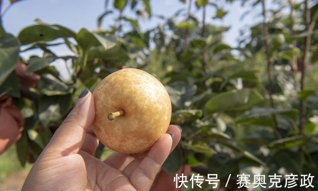 连州|湖南人乐此不疲旅游的广东景区，可媲美长江三峡和漓江山水，绝