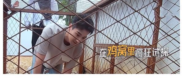 推理类|《最后的赢家》步入正轨,嘉宾逐渐熟悉,节目内容呈现增加趣味性