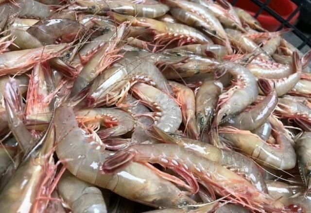 这3种海鲜，内行人碰到扭头就走，没营养还贵，商家自己从不吃