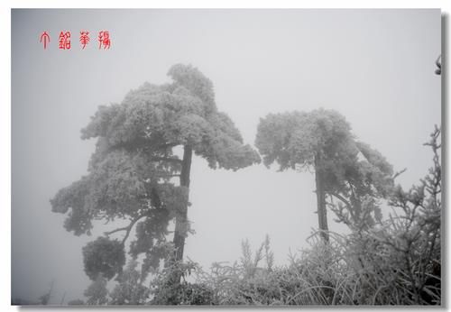 铅山|铅山葛仙山白雪皑皑，犹如冰雪童话世界