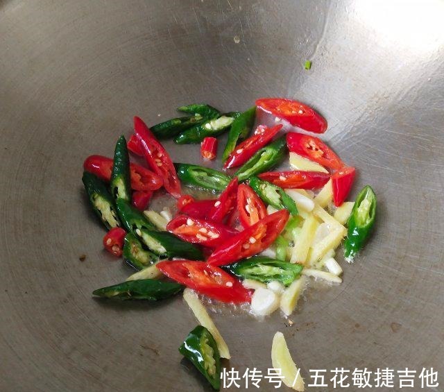 寻氏肌蛤|辣炒海瓜子，一口一个，很鲜美！