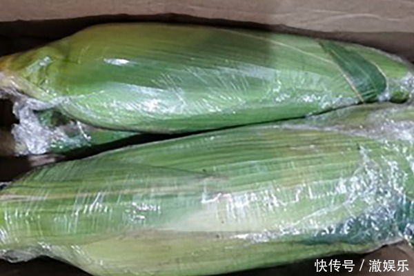 冬季玉米怎样存储教你两招,再也不怕没有新鲜玉米吃了!