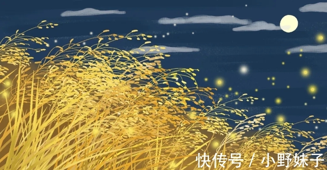 莲叶|微风忽起吹莲叶，青玉盘中泻水银。感受暴风雨后的好时光