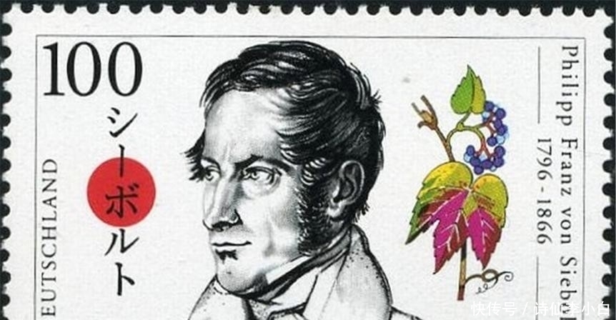 日本超级植物入侵英国,无限繁殖力逼疯英国人,甚至导致房价下降