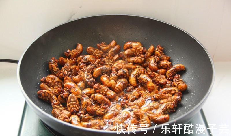 脱壳|天变冷之前,树上这个美味赶紧吃,高蛋白,错过了还要再等明年